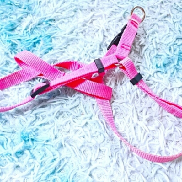 no brand Other - Pink XS kitten/puppy harness.